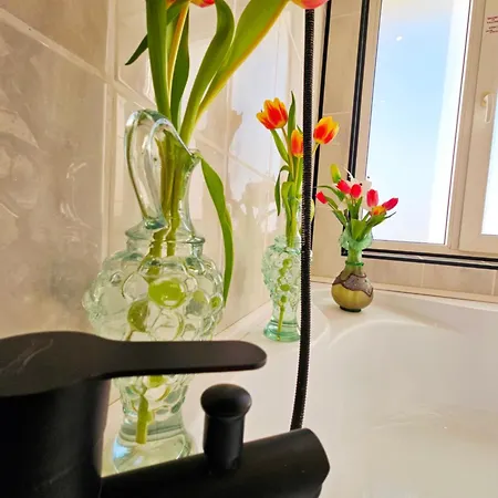 CIEL one bedroom city center * Boekarest
