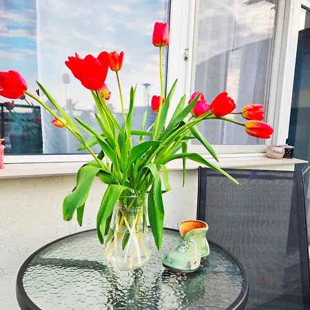 Appartement CIEL one bedroom city center *
